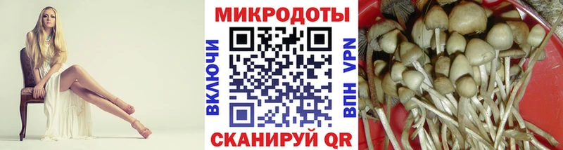 продажа наркотиков  Острогожск  Псилоцибиновые грибы прущие грибы 