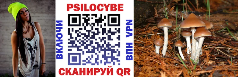 Галлюциногенные грибы мицелий Острогожск